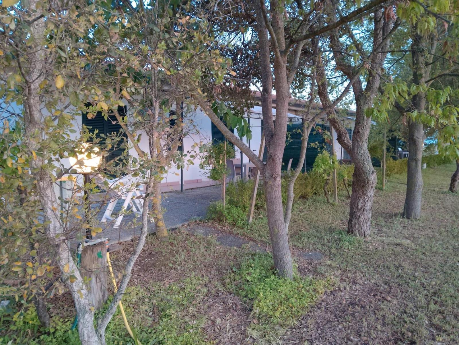 Agriturismo I Gelsi Marina Di Grosseto Esterno foto