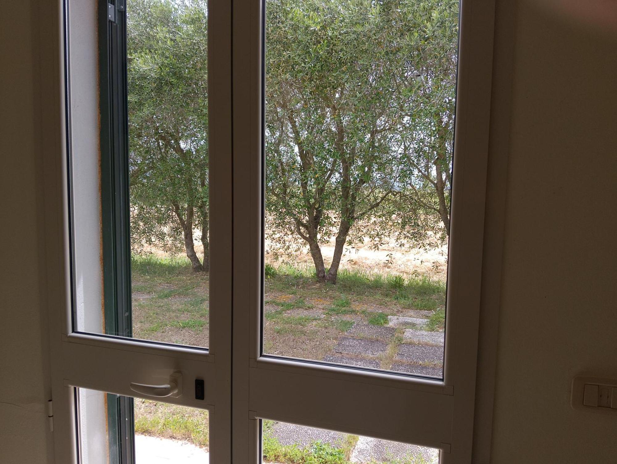Agriturismo I Gelsi Marina Di Grosseto Esterno foto