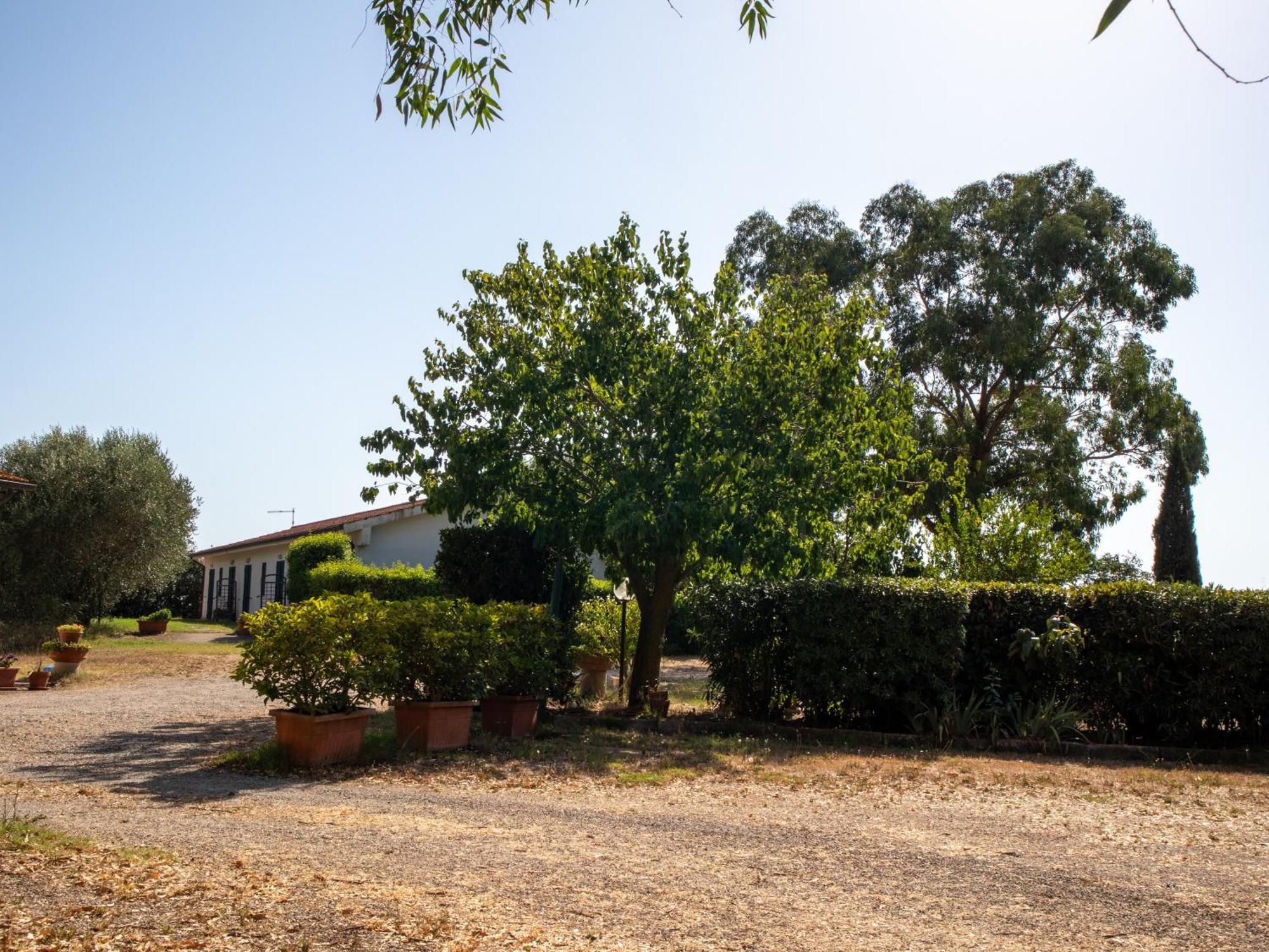 Agriturismo I Gelsi Marina Di Grosseto Esterno foto