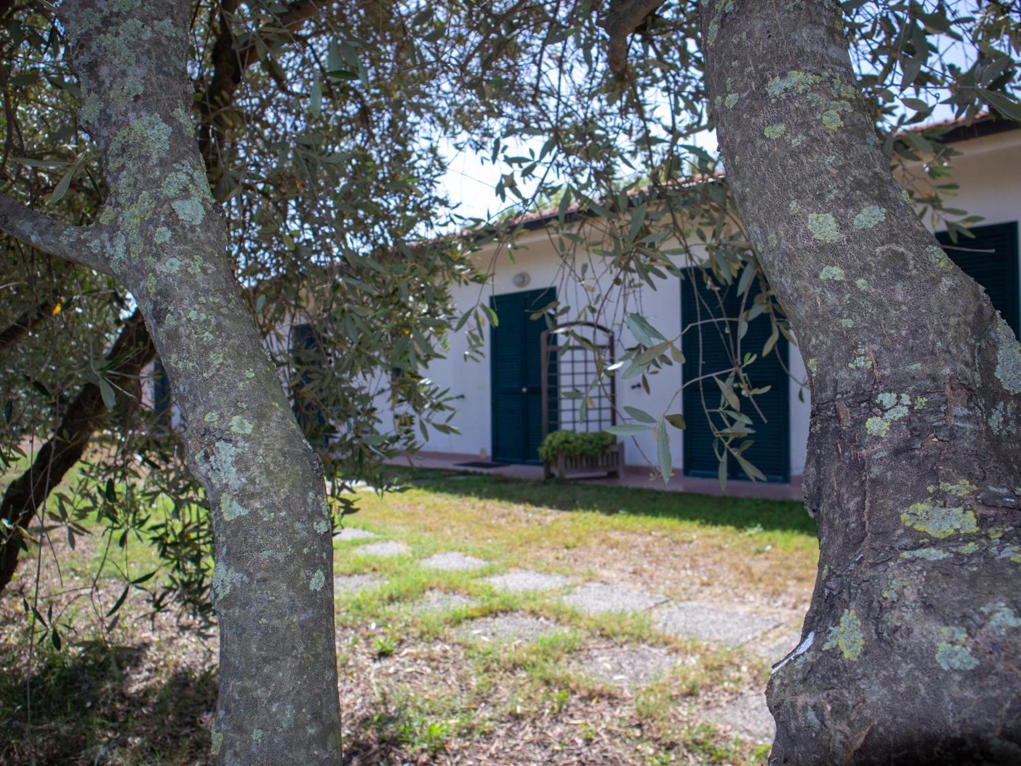 Agriturismo I Gelsi Marina Di Grosseto Esterno foto